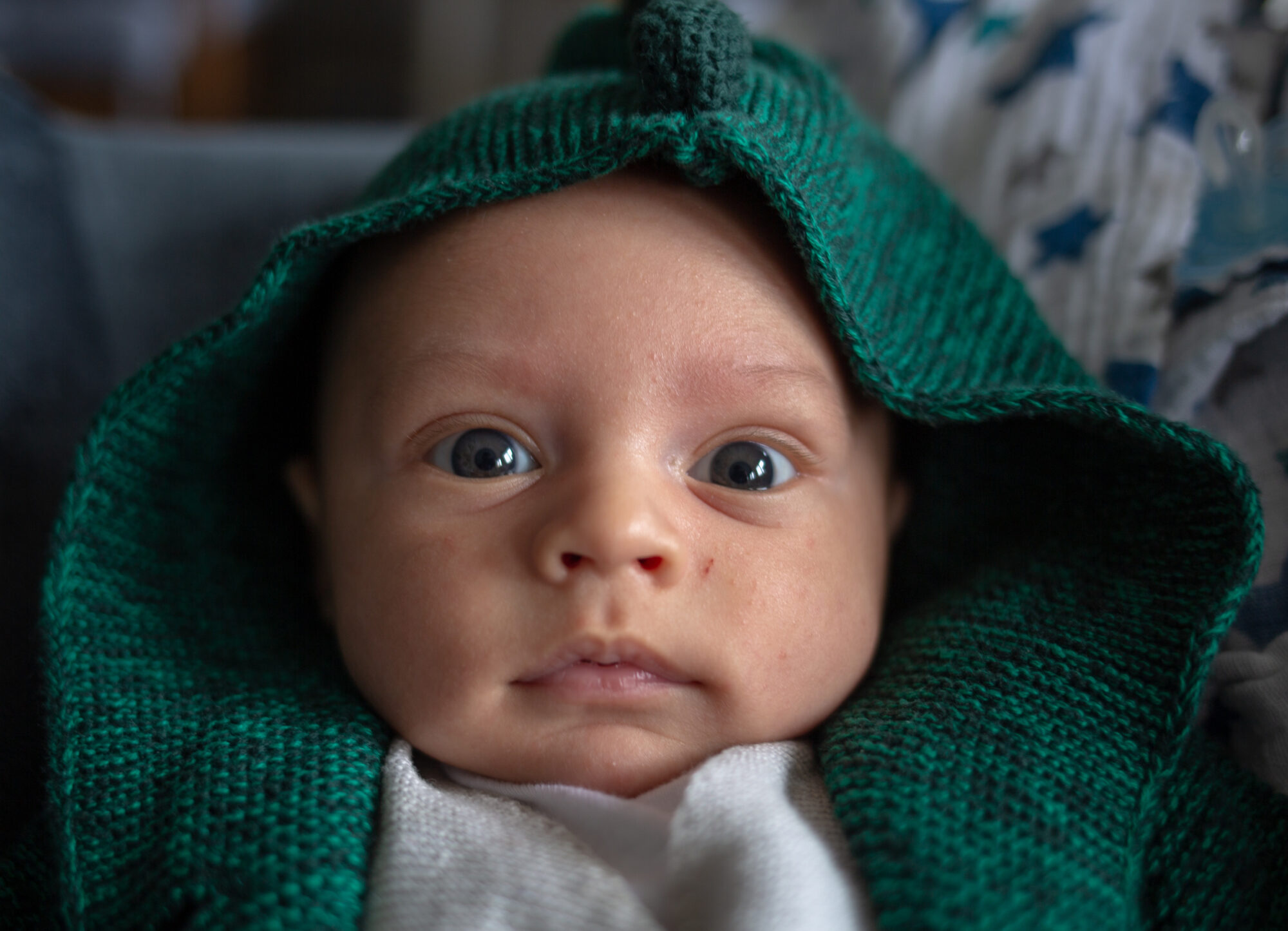 A baby wrapped in a deep green knitted hood, looking directly at the camera.
